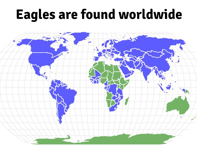 A global map showing eagles range is worldwide